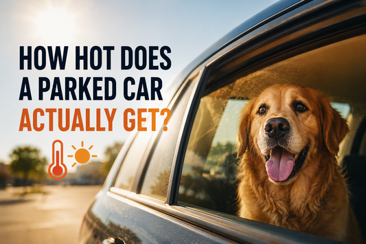 How hot does a parked car actually get?